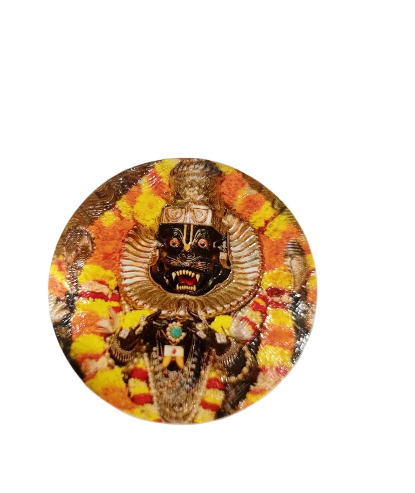 Narsimha Magnet