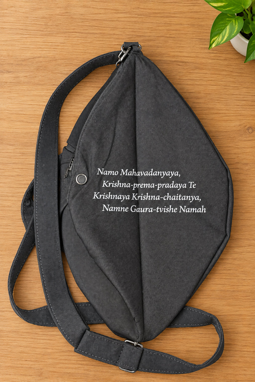 Premium Gaur Nitai Printed Beadbag