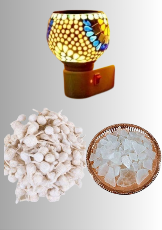 Night Lamp Kapoor Dani + Bheemseni Kapoor (100grms) - Get Cotton batti FREE